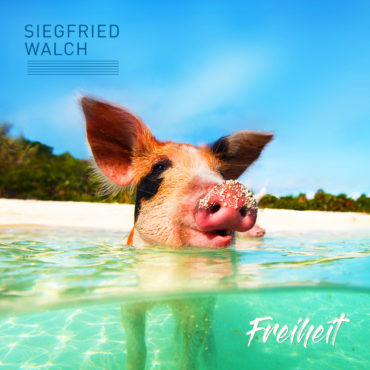 freiheit-cover